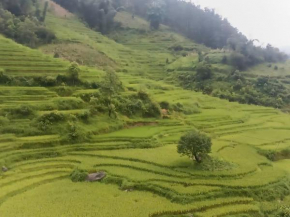 Home Núi Đá Tả Phìn